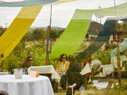 Festival Mar de Tethys 2026 - Bodega Vetas